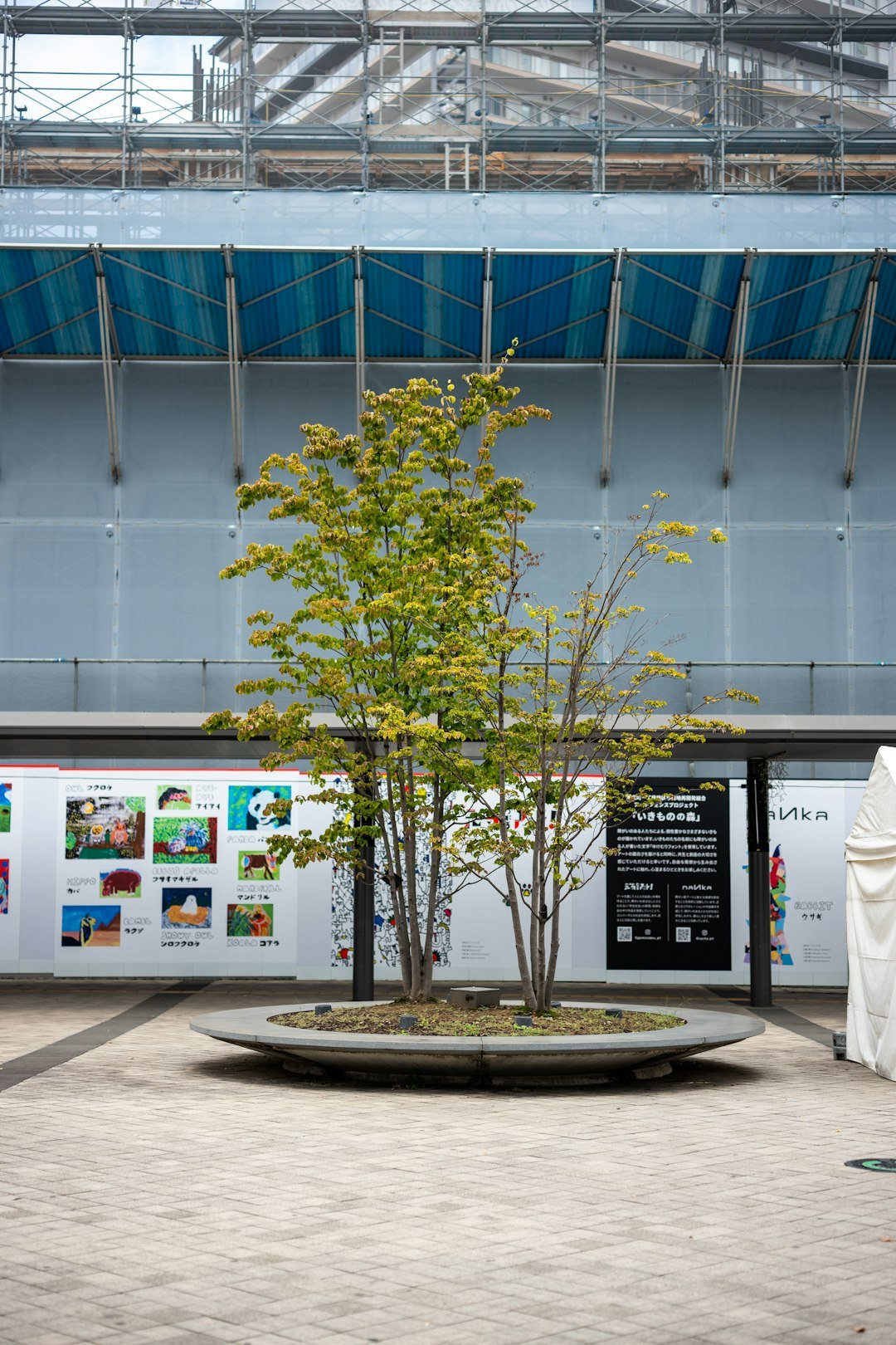 a-small-tree-stands-in-a-circular-planter-gslkhtm5pqs